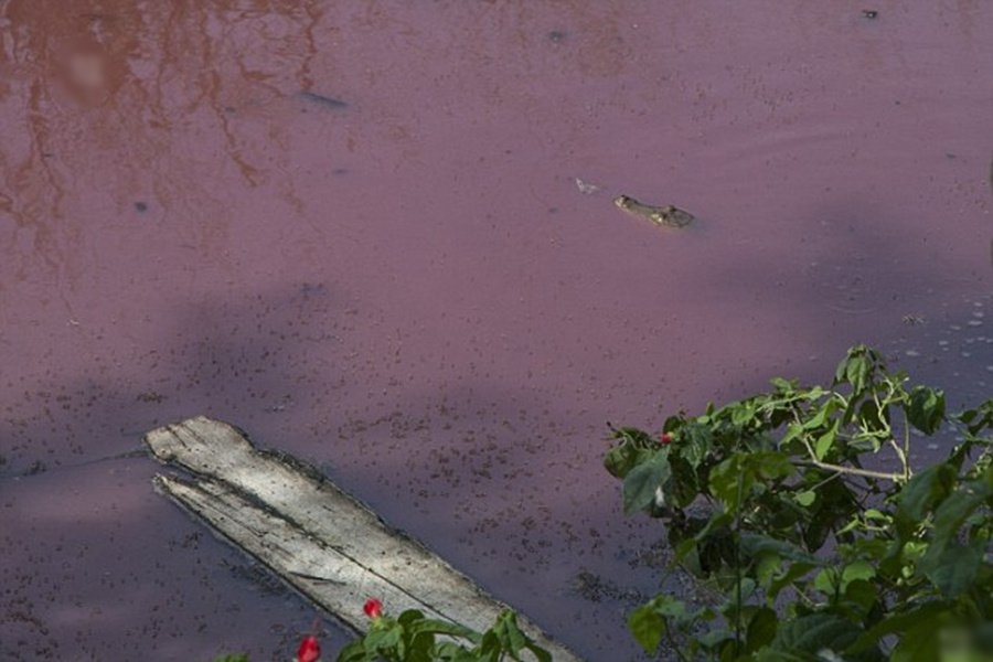 кровяные озера