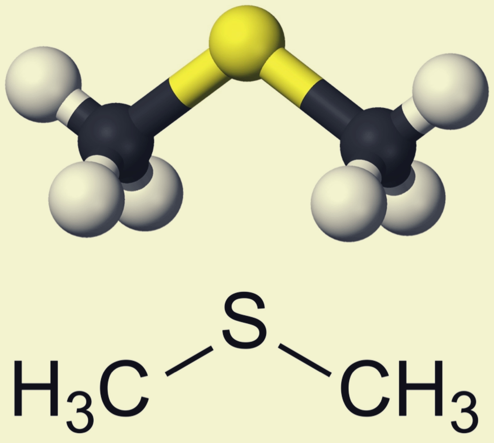 Метан диметиловый эфир. Диметилсульфид структурная формула. Диметилсульфид окисление. Диметиловый сульфид. Диметиловый эфир формула.
