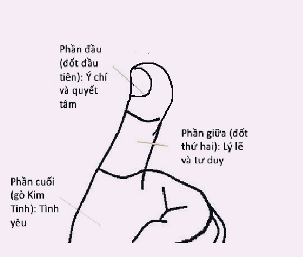 5 tuong tay chi diem ban chinh la 'hau due cua Hoan Thu'