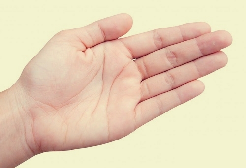 Cách để Xem Chỉ tay: 9 Bước (kèm Ảnh) – wikiHow