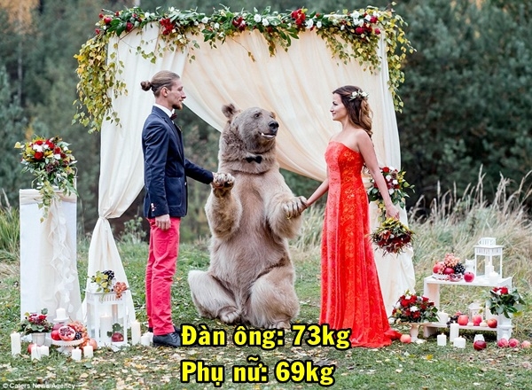 bestie ti le can nang trung binh cac quoc gia