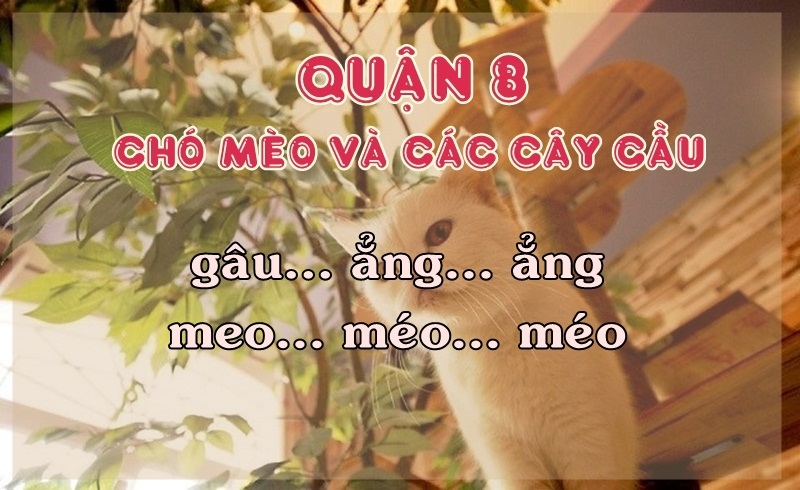 bestie am thanh dac trung sai gon