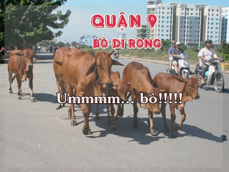 bestie am thanh dac trung sai gon