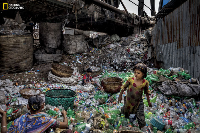 Những bức ảnh khiến bạn phải suy nghĩ trước khi vứt rác bừa bãi