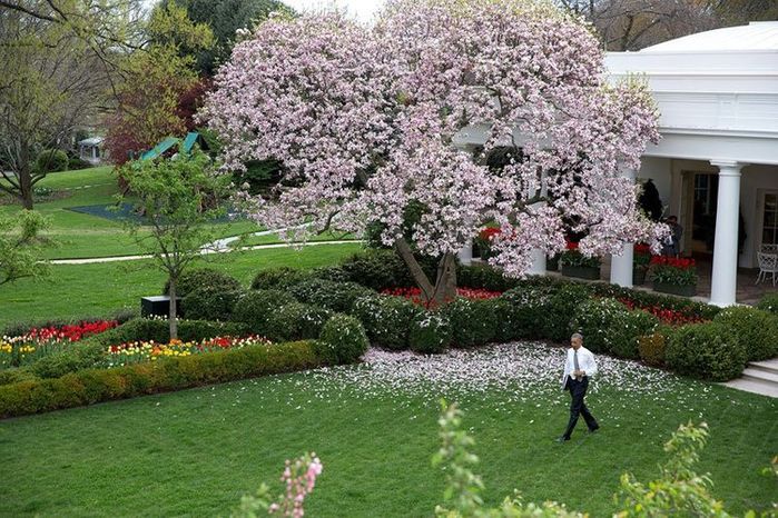 bestie những khu vườn bí mật trong khuôn viên Nhà Trắng 