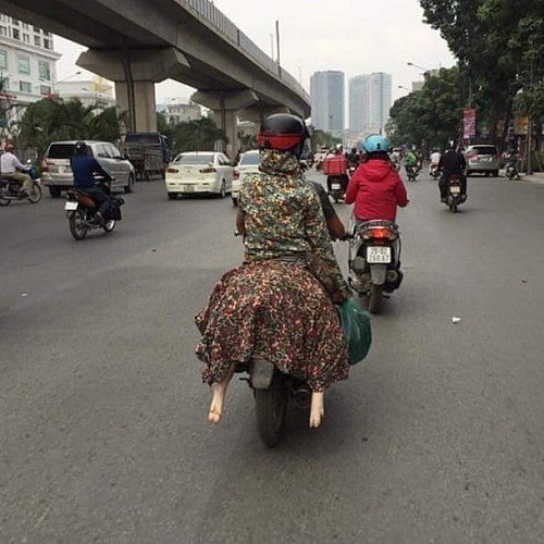Ảnh vui tuần qua: Rịu tổ ong, 2 thanh niên đáng thương