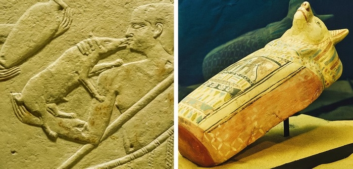 Bật mí 7 sự thật không thể ngờ về người Ai Cập cổ đại