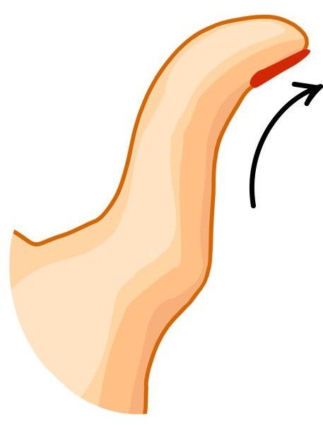 Bói ngay tính cách tiềm ẩn của bản thân qua hình dạng ngón tay cái