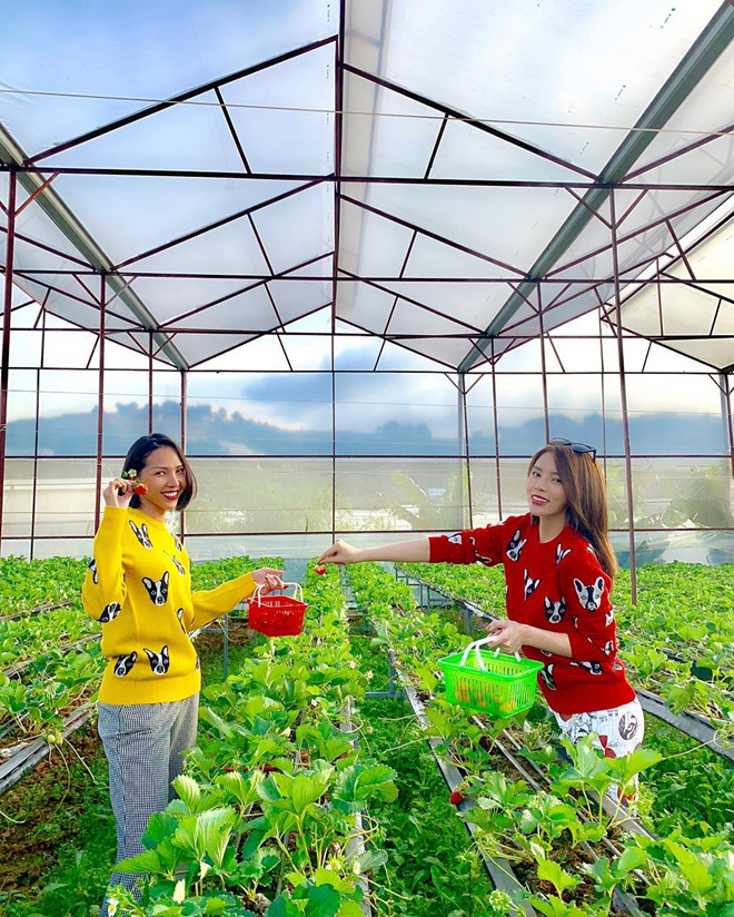 Kỳ Duyên diện đồ đôi khẳng định tình chị em bền chặt với Minh Triệu