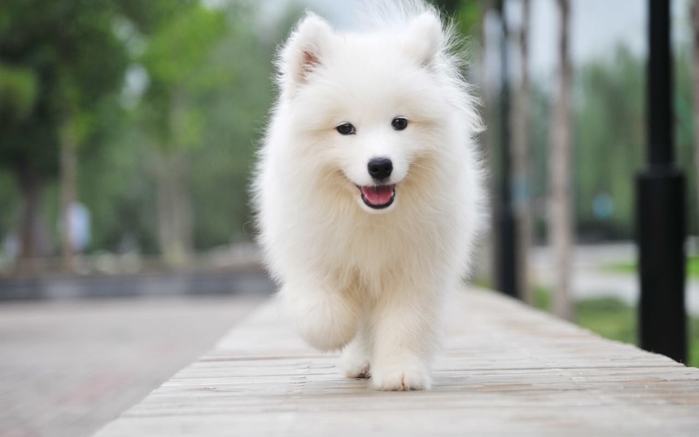 Nếu bạn mơ thấy những điều này thì tiền tài, may mắn sắp về rồi đấy!