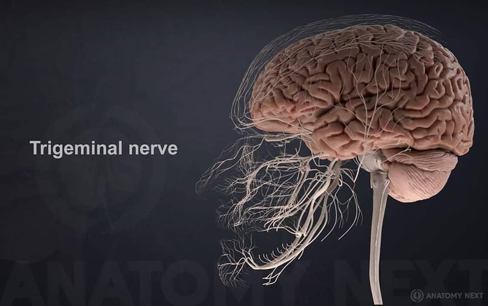 Những sự thật về cơ thể giúp chúng ta ngộ ra được rất nhiều điều
