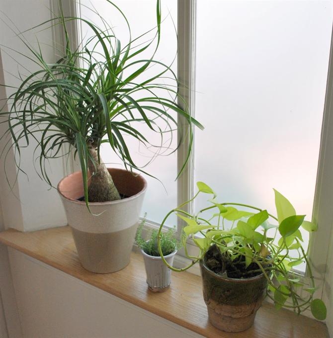 5 cách thay đổi phong thủy giúp hút vượng khí vào nhà trong năm mới