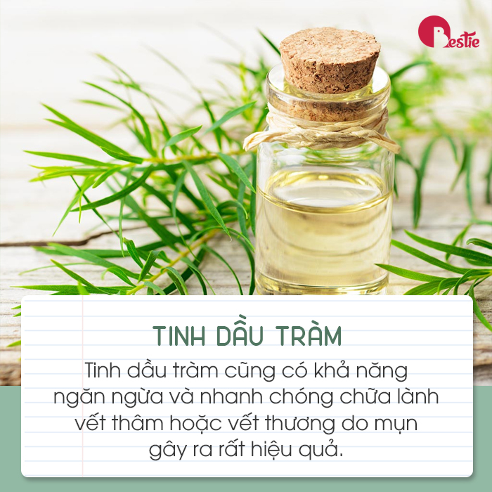 7 tinh dầu làm mờ vết sẹo thâm mụn hiệu quả để có làn da trắng hồng