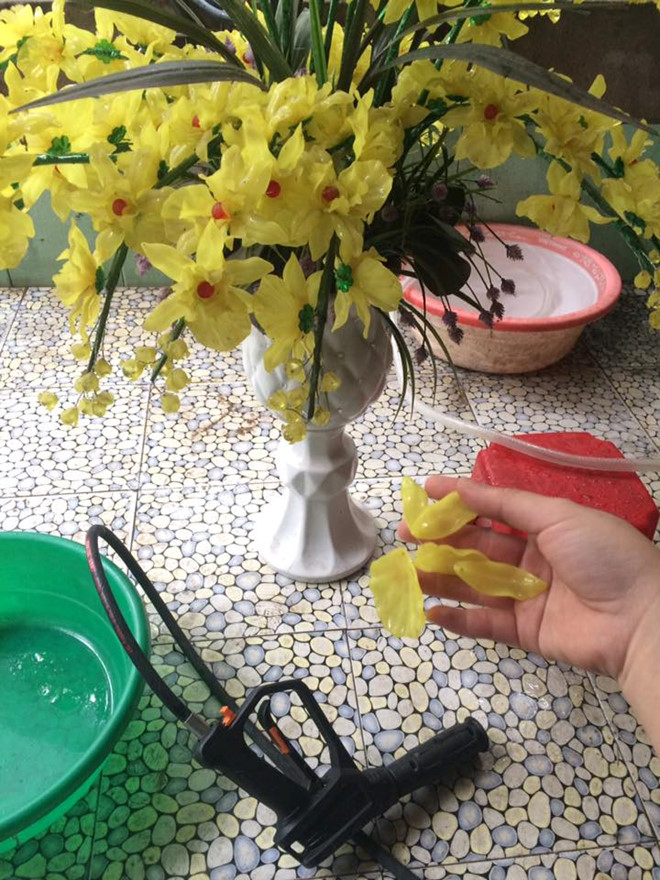 Ác mộng mang tên dọn nhà ngày Tết