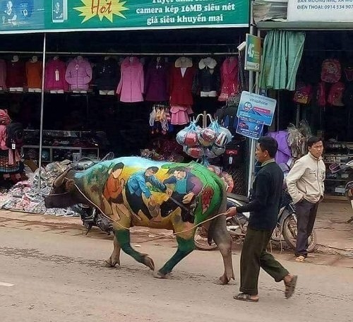Ảnh vui tuần qua: Làm sao để không lạc hướng dẫn viên, sự cố đụng hàng