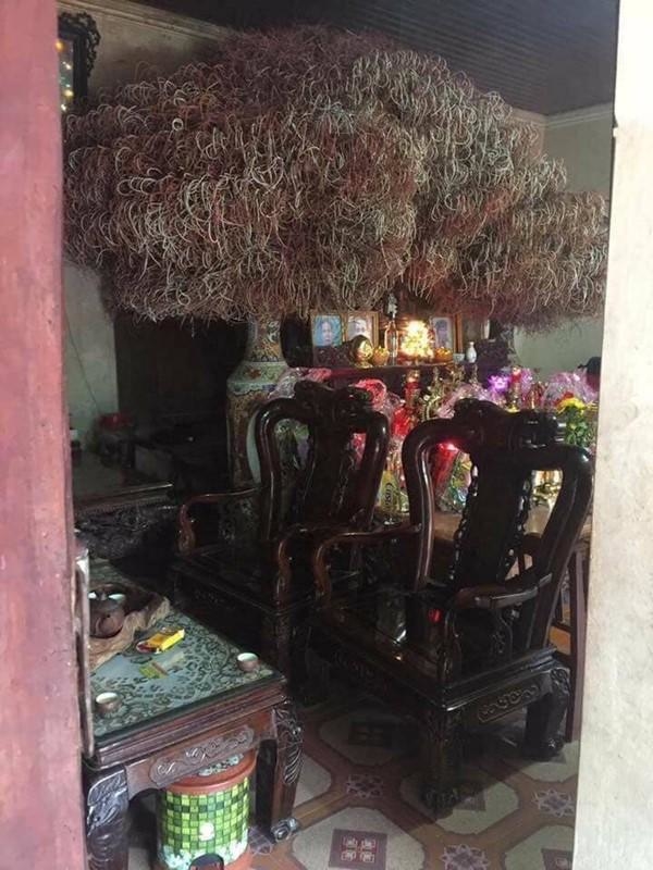 Bát hương “cổ thụ” ai nhìn cũng khen tốt phước: Nhưng nhầm to rồi!