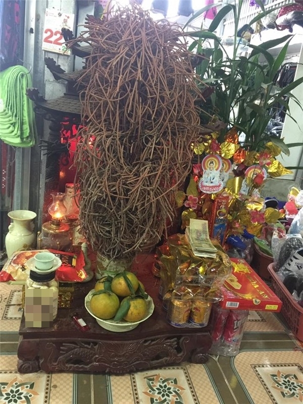 Bát hương “cổ thụ” ai nhìn cũng khen tốt phước: Nhưng nhầm to rồi!