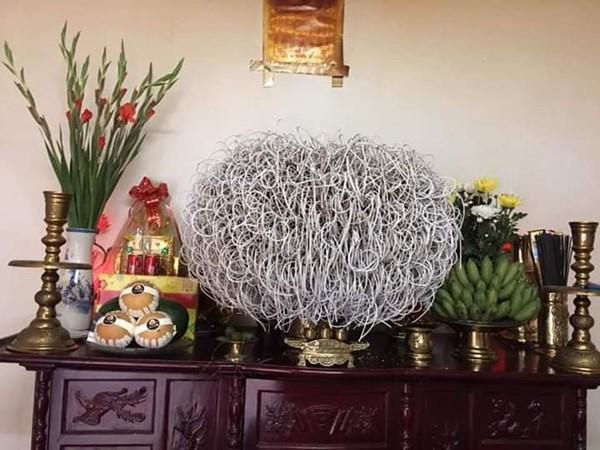 Bát hương “cổ thụ” ai nhìn cũng khen tốt phước: Nhưng nhầm to rồi!