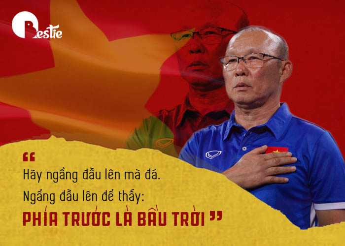 Cảm ơn tuyển Việt Nam: những cánh chim cố gắng không ngừng nghỉ