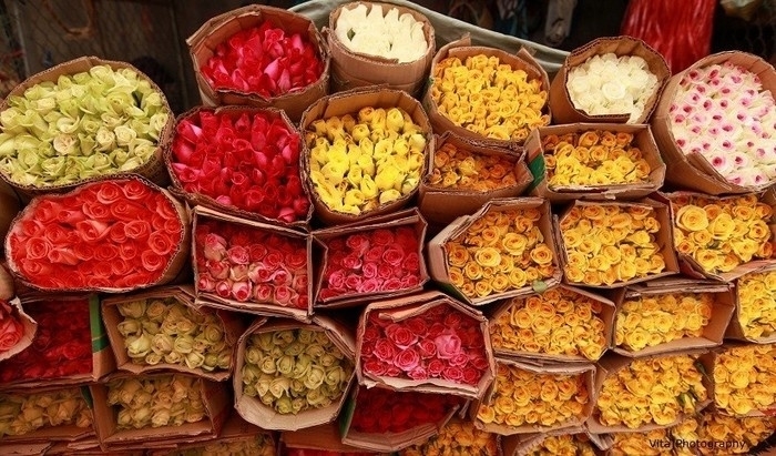 Đi đâu để có một bộ ảnh Tết cực chất ở Sài Gòn?