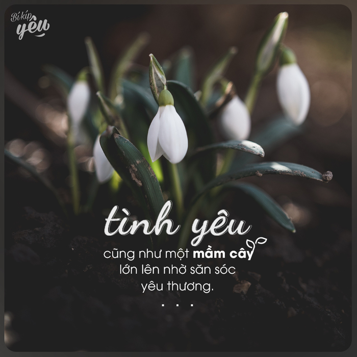 Gặp đúng người, chỉ vì yêu sai cách nên ta đành mất nhau!
