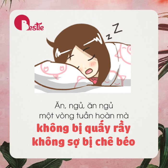 Hội FA thích và ghét nhất điều gì trong dịp Tết?