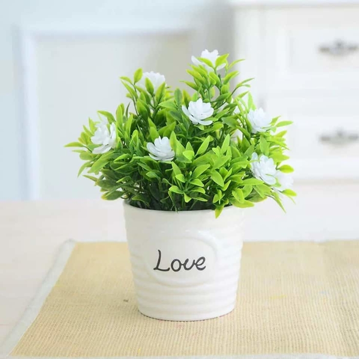 Không được đặt lên bàn làm việc 5 thứ này kẻo sự nghiệp dễ sụp đổ