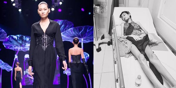 Loạt sao Việt trẻ phải giã từ cuộc sống vì ung thư