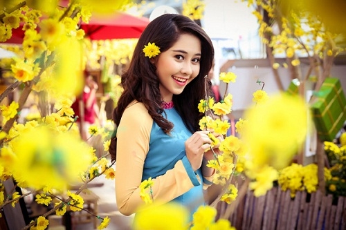 Những bài hát về Tết cứ nghe là thấy Tết về sát nút