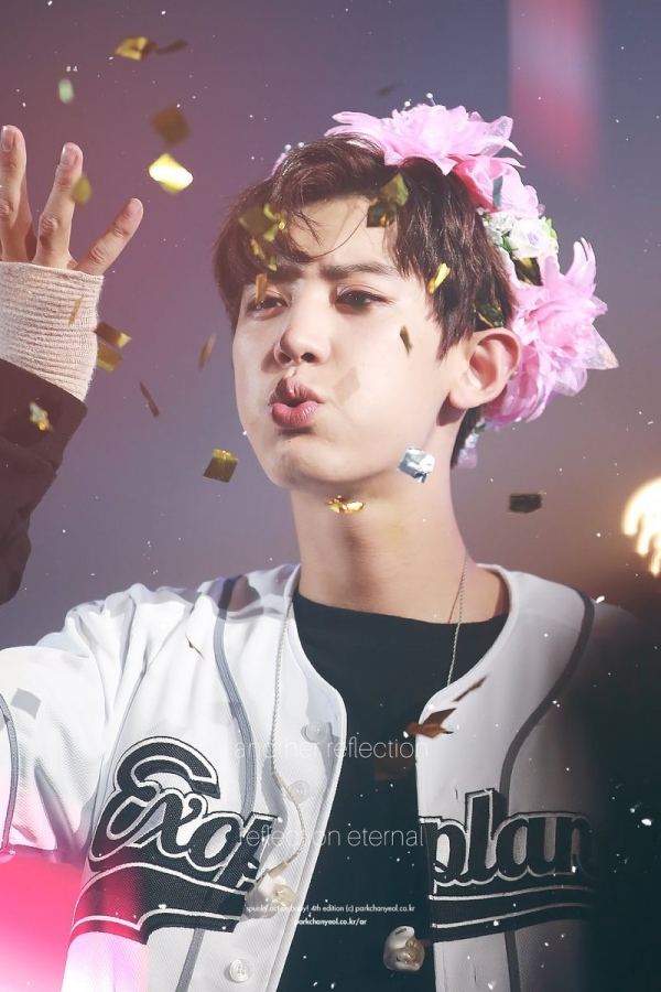 Những fansite của các idol nam Kpop được theo dõi nhất trên Twitter