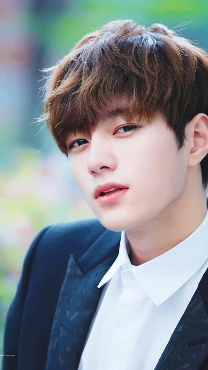 Những gương mặt sao Kpop được chứng nhận tỉ lệ vàng không có gì để sửa