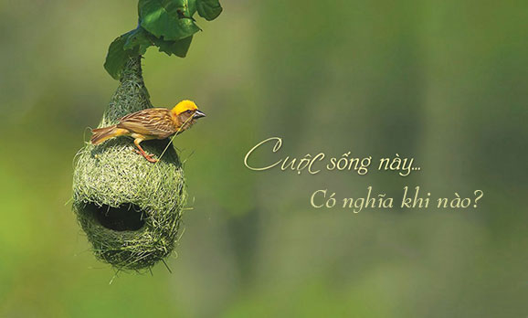Những lời khuyên có thể thay đổi cuộc đời bạn trong năm mới
