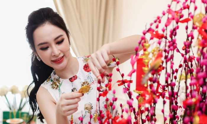 Những sao Việt dự sẽ không nhận show ngày Tết