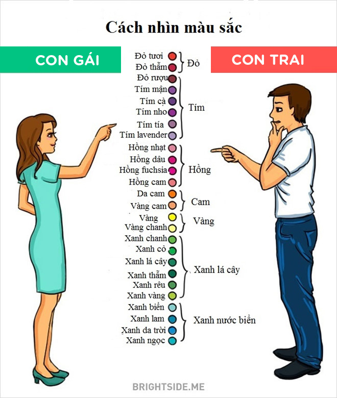 Phải chăng tính cách nam và nữ là hai thái cực hoàn toàn đối nghịch?
