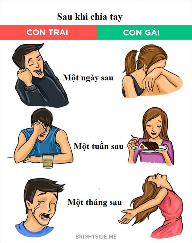 Phải chăng tính cách nam và nữ là hai thái cực hoàn toàn đối nghịch?