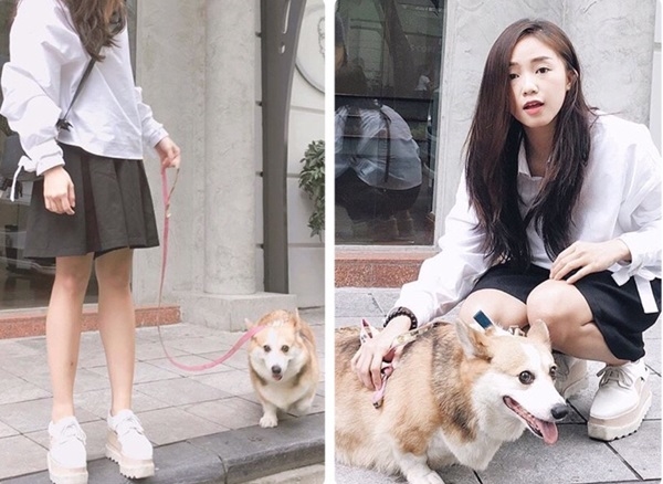 Dắt cún cưng đi dạo: Hoà Minzy mặc kín như Ninja đối lập Kaity Nguyễn