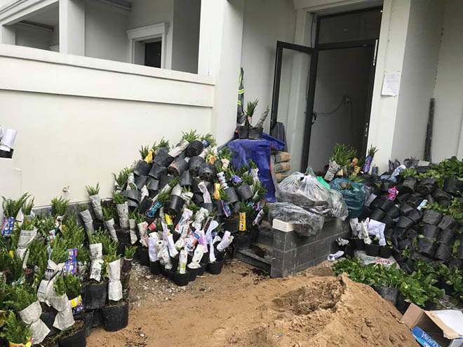 Sao Việt tự thưởng cho bản thân trước thềm năm mới Kỷ Hợi 2019