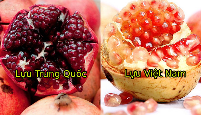 Cách phân biệt đâu là trái cây Việt Nam đâu là trái cây Trung Quốc