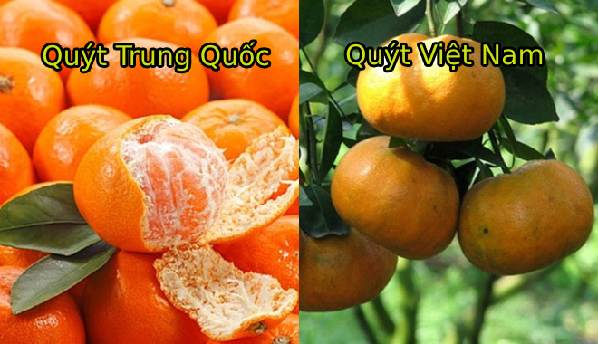 Cách phân biệt đâu là trái cây Việt Nam đâu là trái cây Trung Quốc