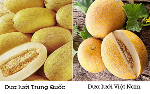 Cách phân biệt đâu là trái cây Việt Nam đâu là trái cây Trung Quốc