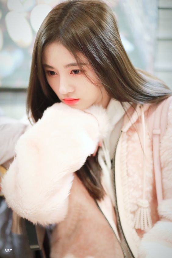 Tử vi thứ Ba 8/1: Cự Giải được crush mở lòng, Song Ngư gặp may mắn