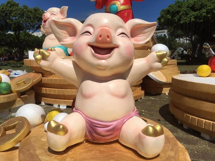 Ngắm đàn lợn hài hước với vô vàng biểu cảm như hờn cả thế giới