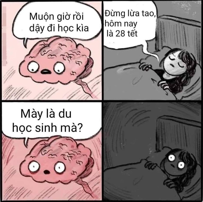 Ảnh vui: Nỗi khổ gà thành phố, khi sinh nhật bạn đúng mùng 1 Tết