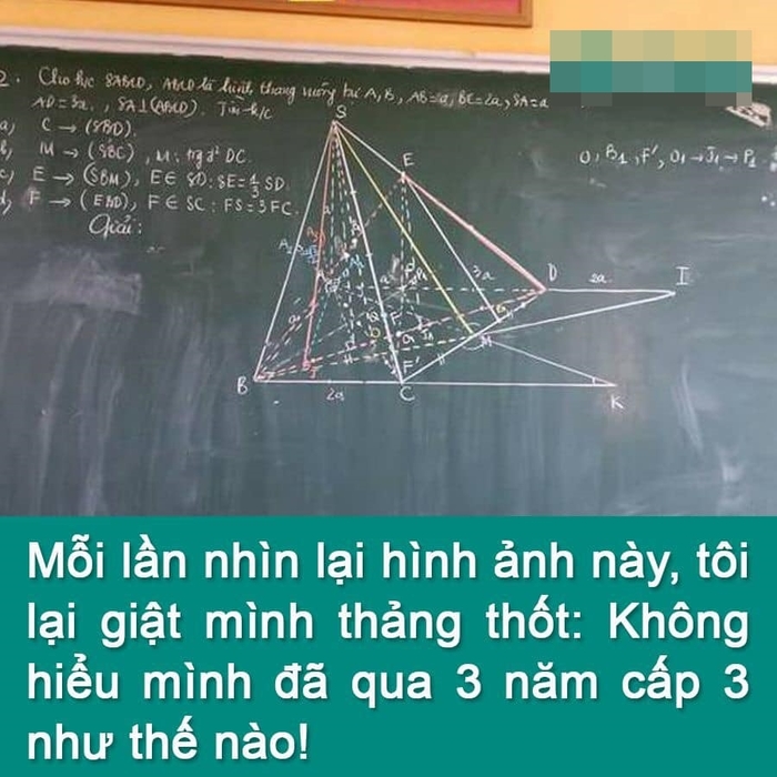 Ảnh vui tuần qua: Boss dọn nhà, màn gói bánh chưng lưu vào sách đỏ