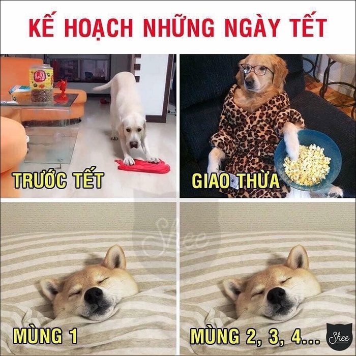 Cùng thưởng cho mình vài phút với loạt ảnh chế “bá đạo” này nhé