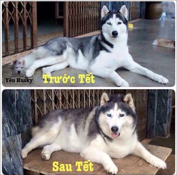 Cùng thưởng cho mình vài phút với loạt ảnh chế “bá đạo” này nhé