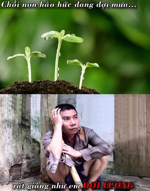 Cười bò với muôn kiểu thưởng Tết qua bàn tay các thánh chế