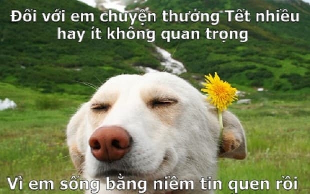 Cười bò với muôn kiểu thưởng Tết qua bàn tay các thánh chế