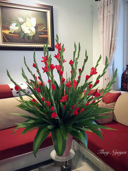 Cach cam hoa lay on nghin tay, Tet co 1 binh trong nha thi may man, tien tai tu ua ve