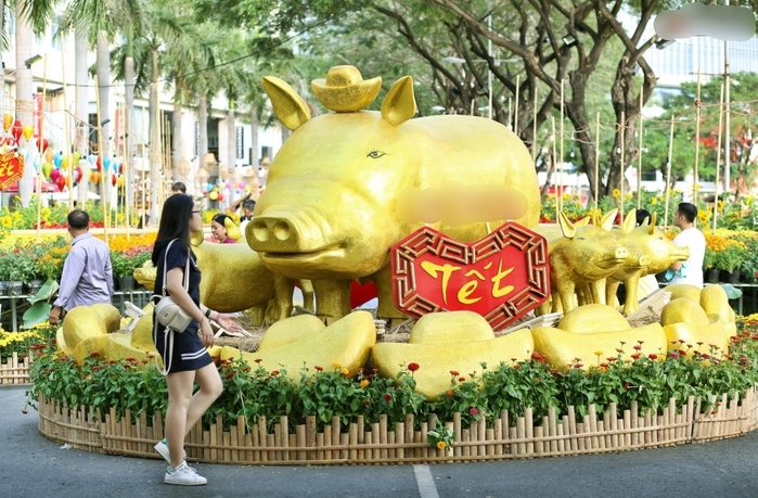 Ngắm đàn lợn hài hước với vô vàng biểu cảm như hờn cả thế giới